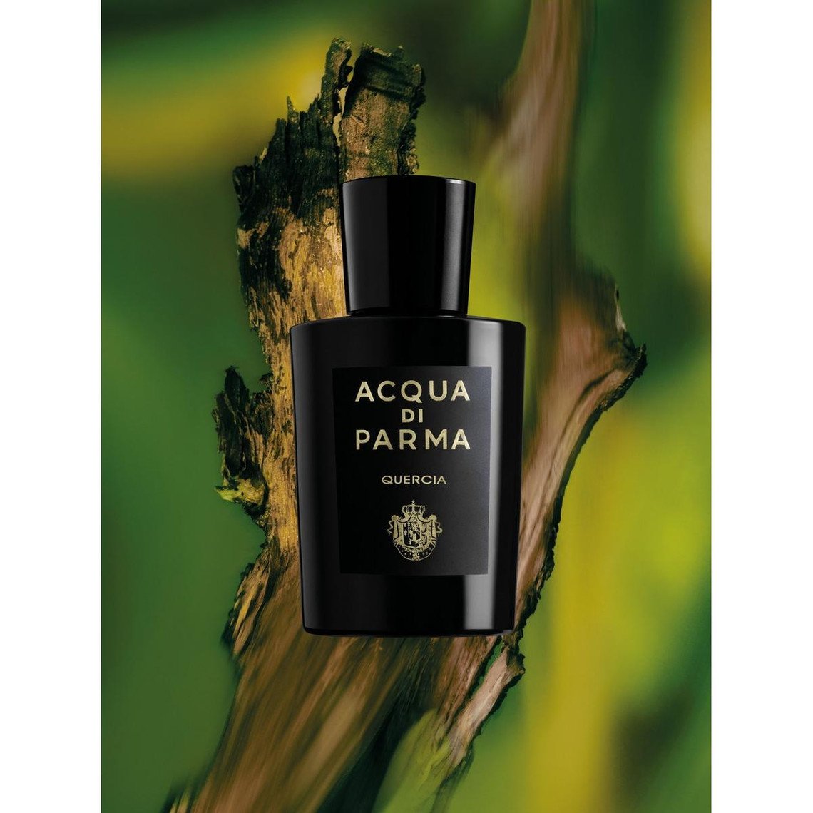 Acqua di Parma Quercia Eau de Parfum: A Profound Olfactory Homage to the Noble Oak - Product Image