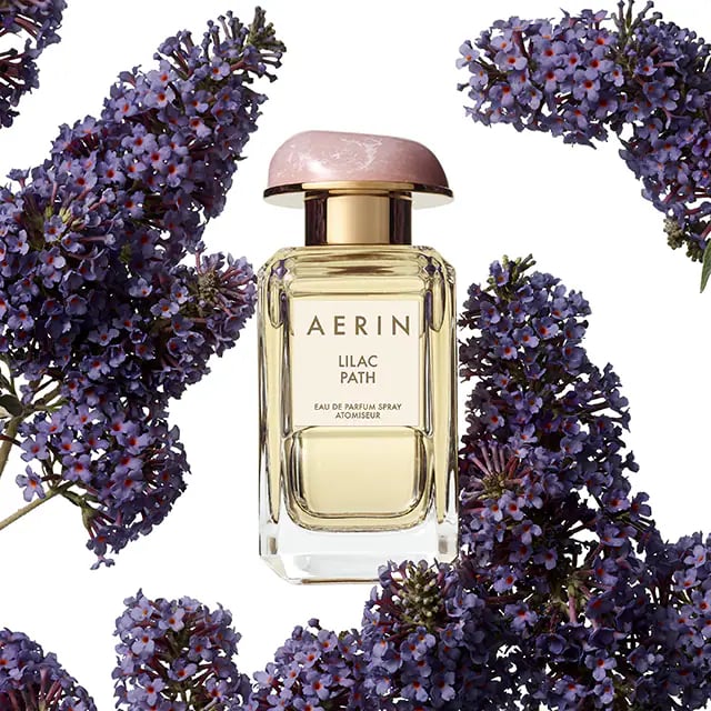 Aerin Lilac Path Review: A Scholarly Analysis of a Floral Masterpiece - Product Image