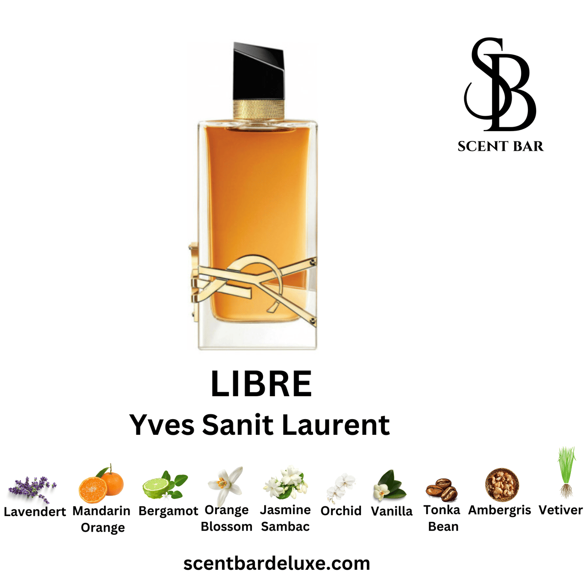 Alexandria Fragrances Libre Intense Dupe: A Bold Clone Reviewed - Product Image