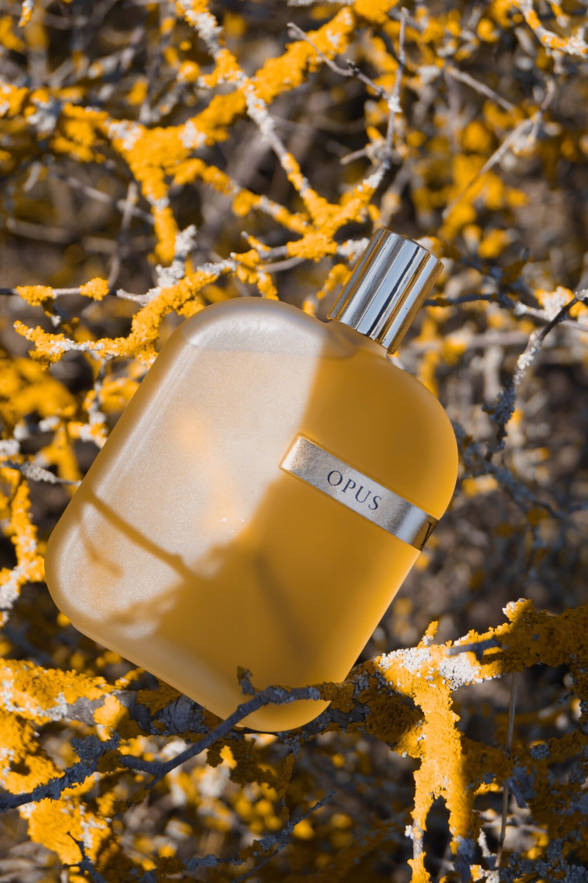 Amouage Opus VI Review: A Smoky Amber Masterpiece - Product Image