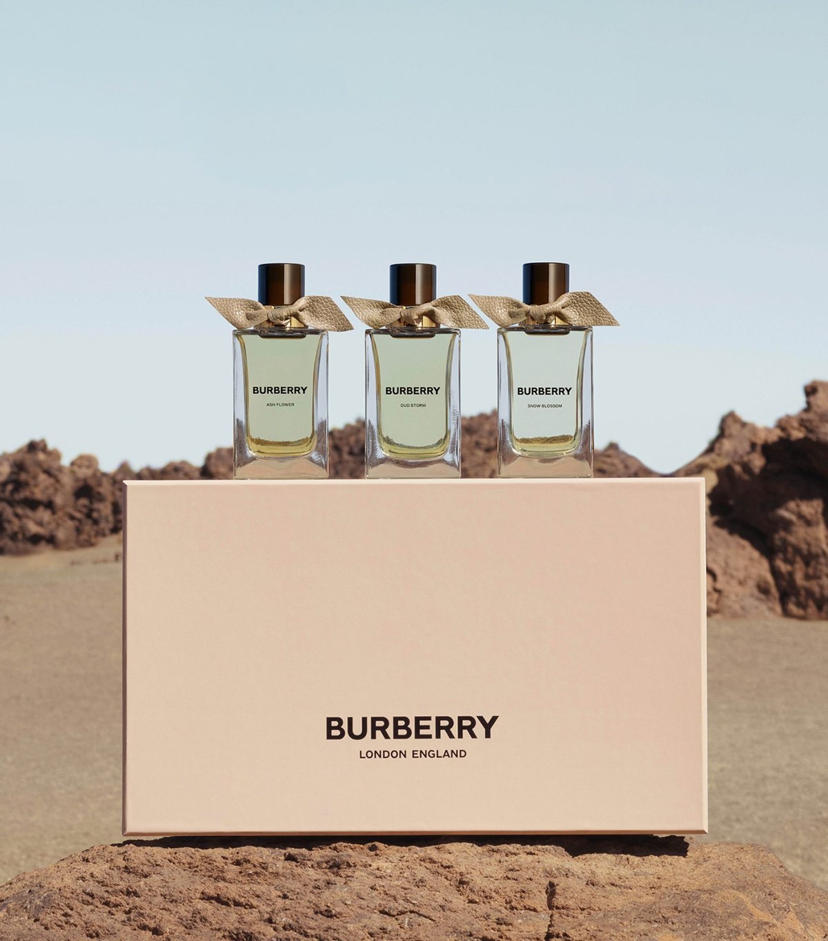 Burberry Her Review: A Symphony of Berries and Blooms - Product Image