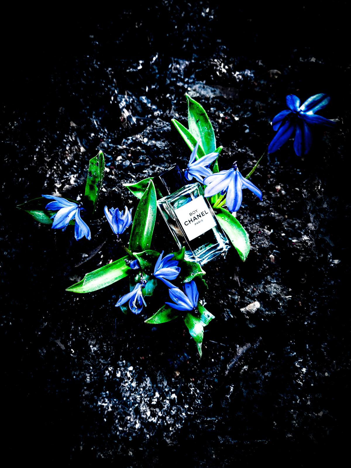Chanel Boy Eau de Parfum Review: The Androgynous Masterpiece Redefining Modern Luxury - Product Image
