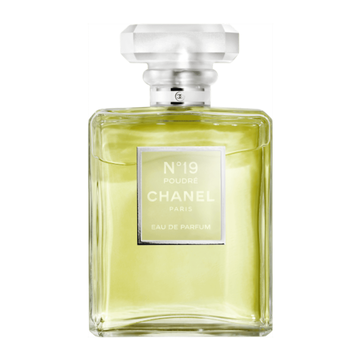 Chanel N°19 Poudré Review: A Powdery Reinvention of a Classic - Product Image