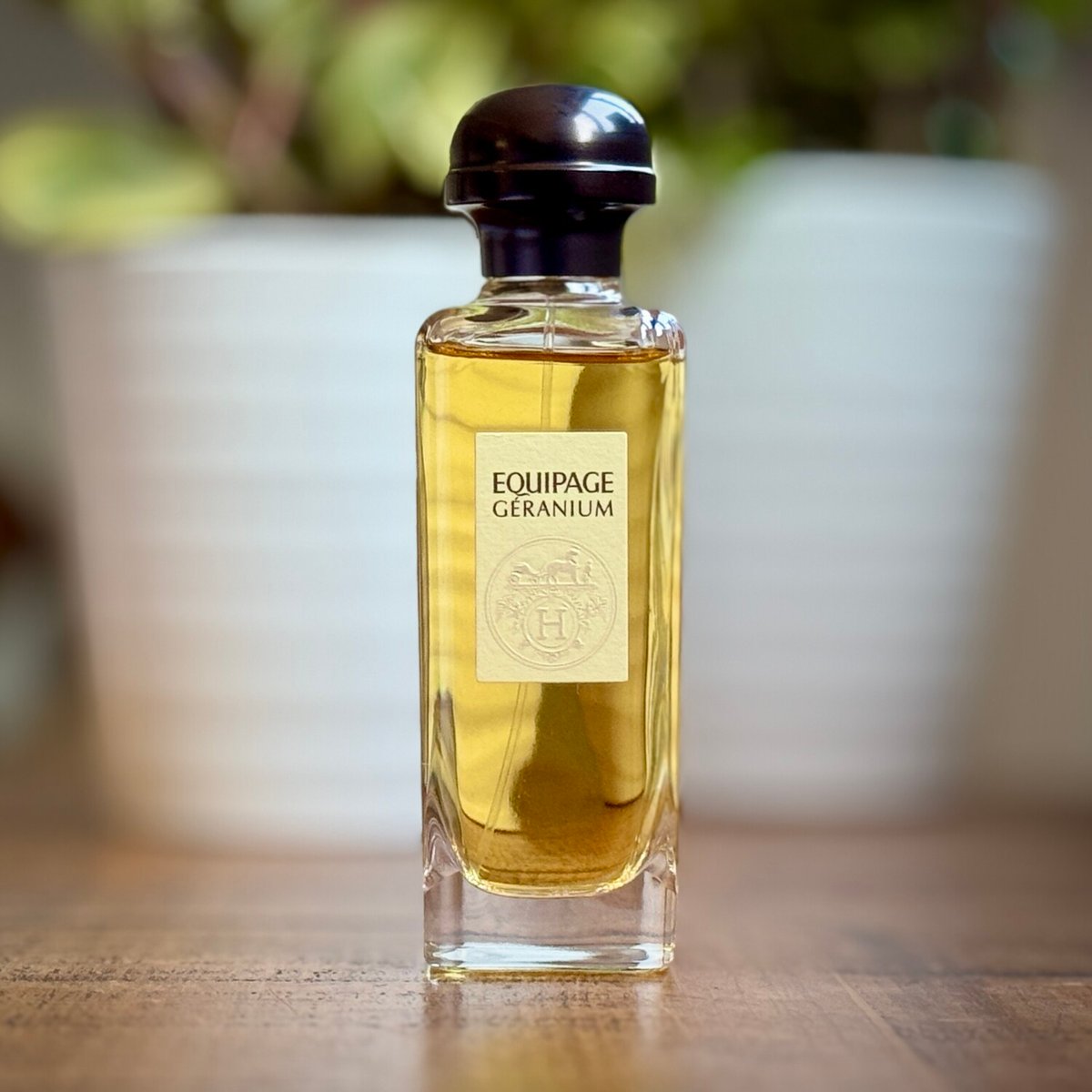 Chanel No. 19 Eau de Toilette: A Scholarly Review - Product Image