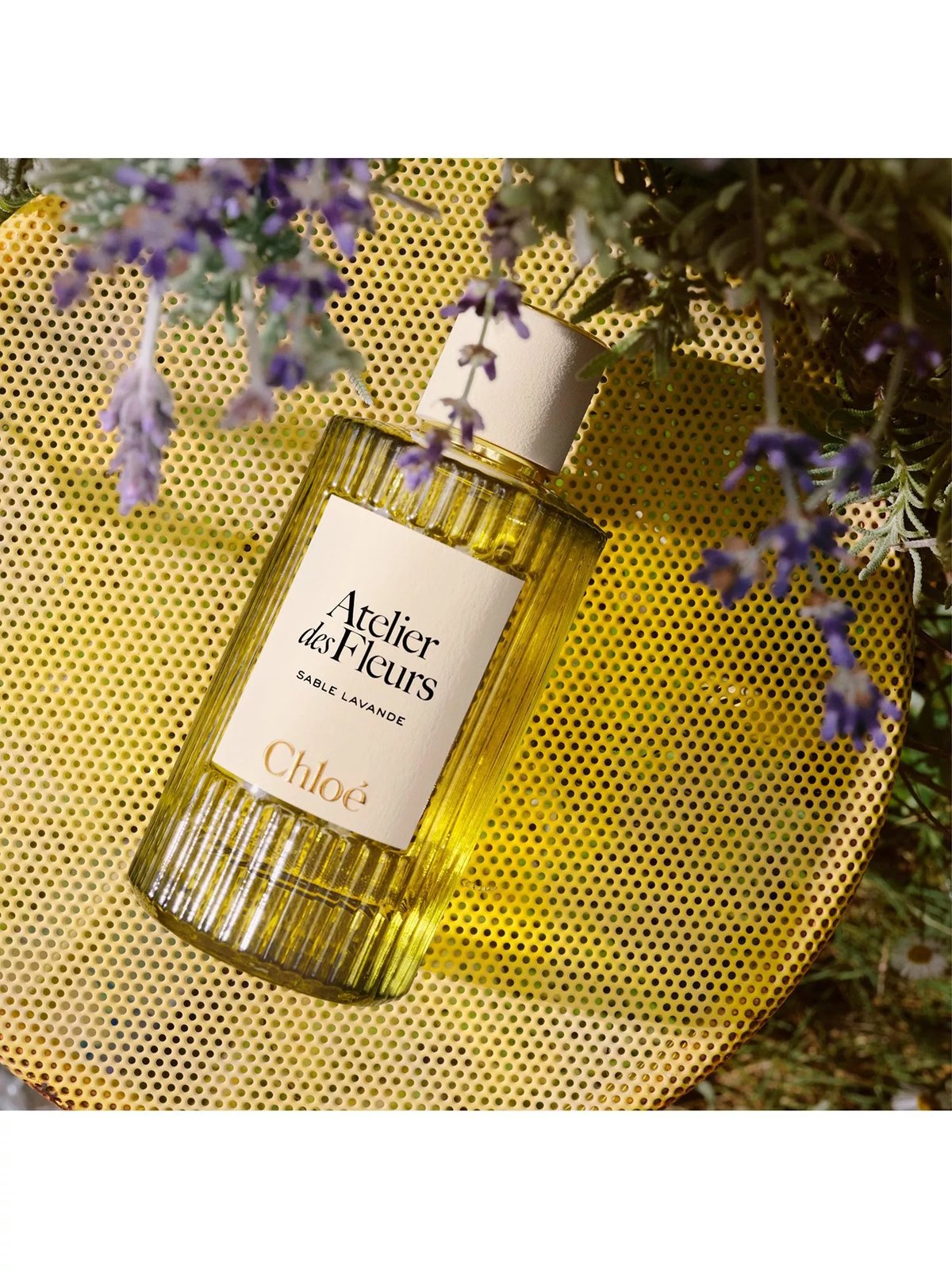 Chloé Sable Lavande Review: A Sun-Drenched Lavender Dream - Product Image
