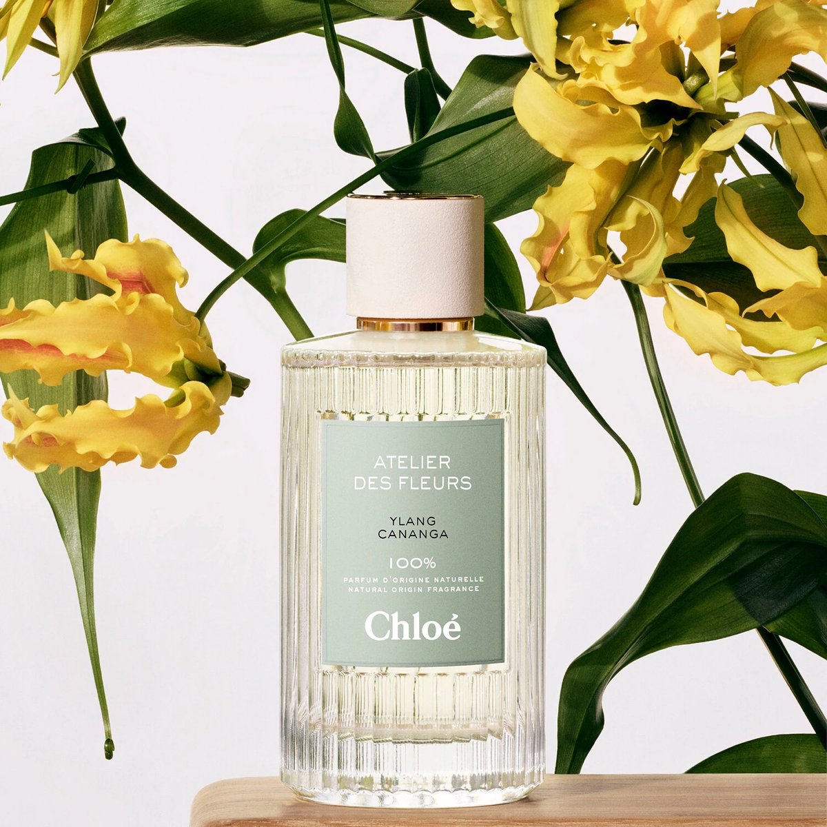 Chloé Ylang Cananga EDP Review: A Soliflore Love Letter - Product Image