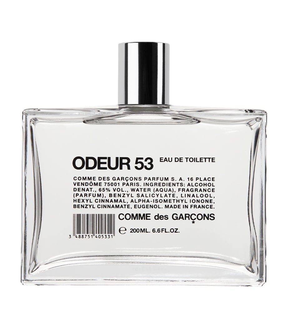 Comme des Garçons Odeur 53 Review: Avant-Garde Scent - Product Image