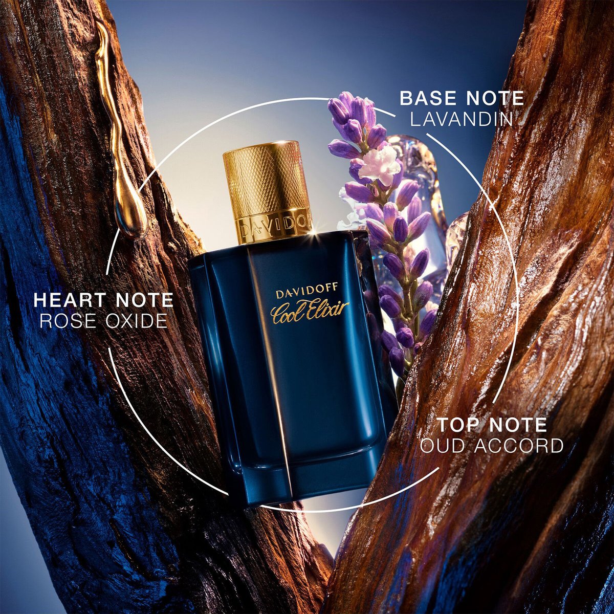 Davidoff None EDP Review: A Fresh Aquatic Masterpiece - Product Image
