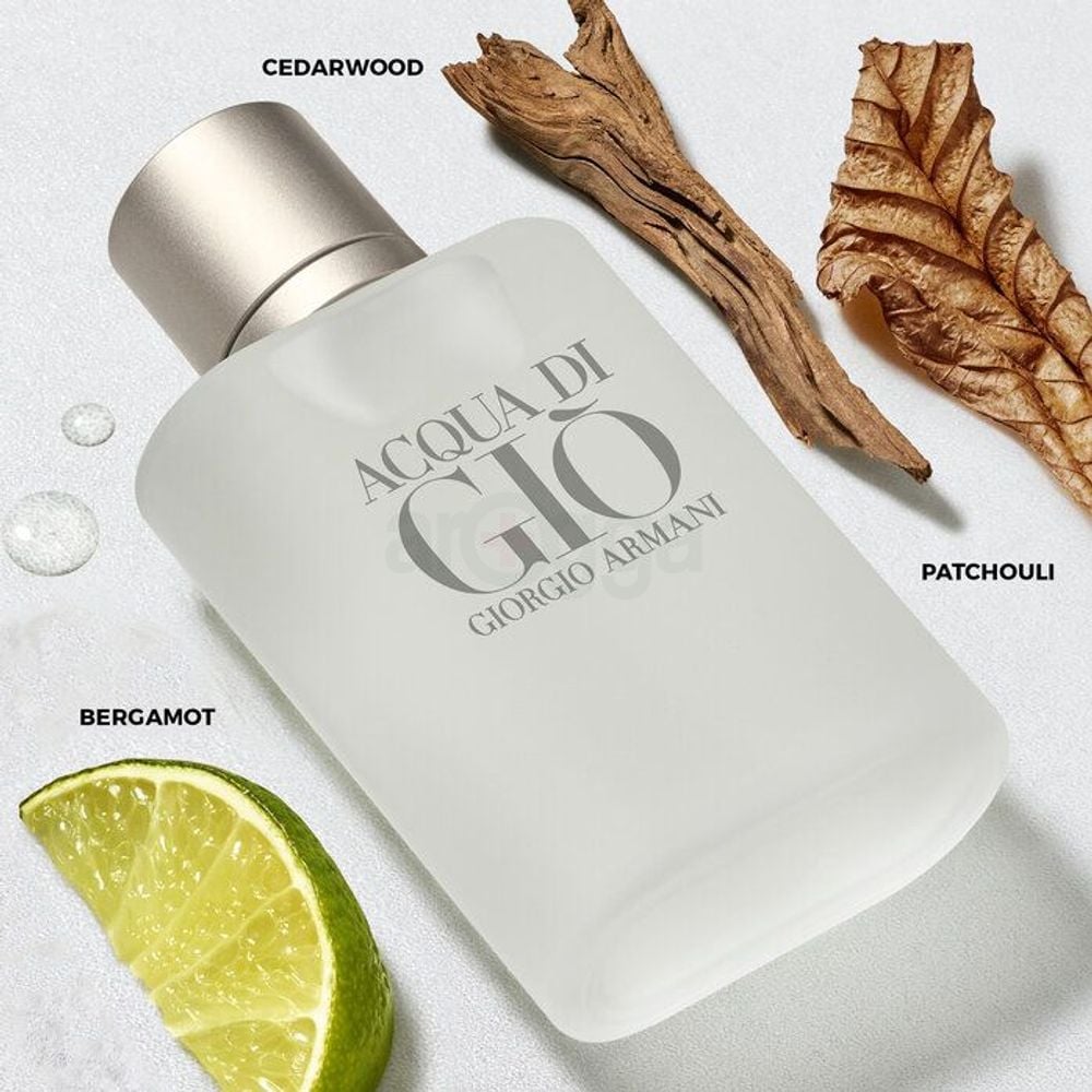 Acqua Di Gio Review: The Undisputed King of Summer Scents (And Why It's Still a Must-Have) - Product Image