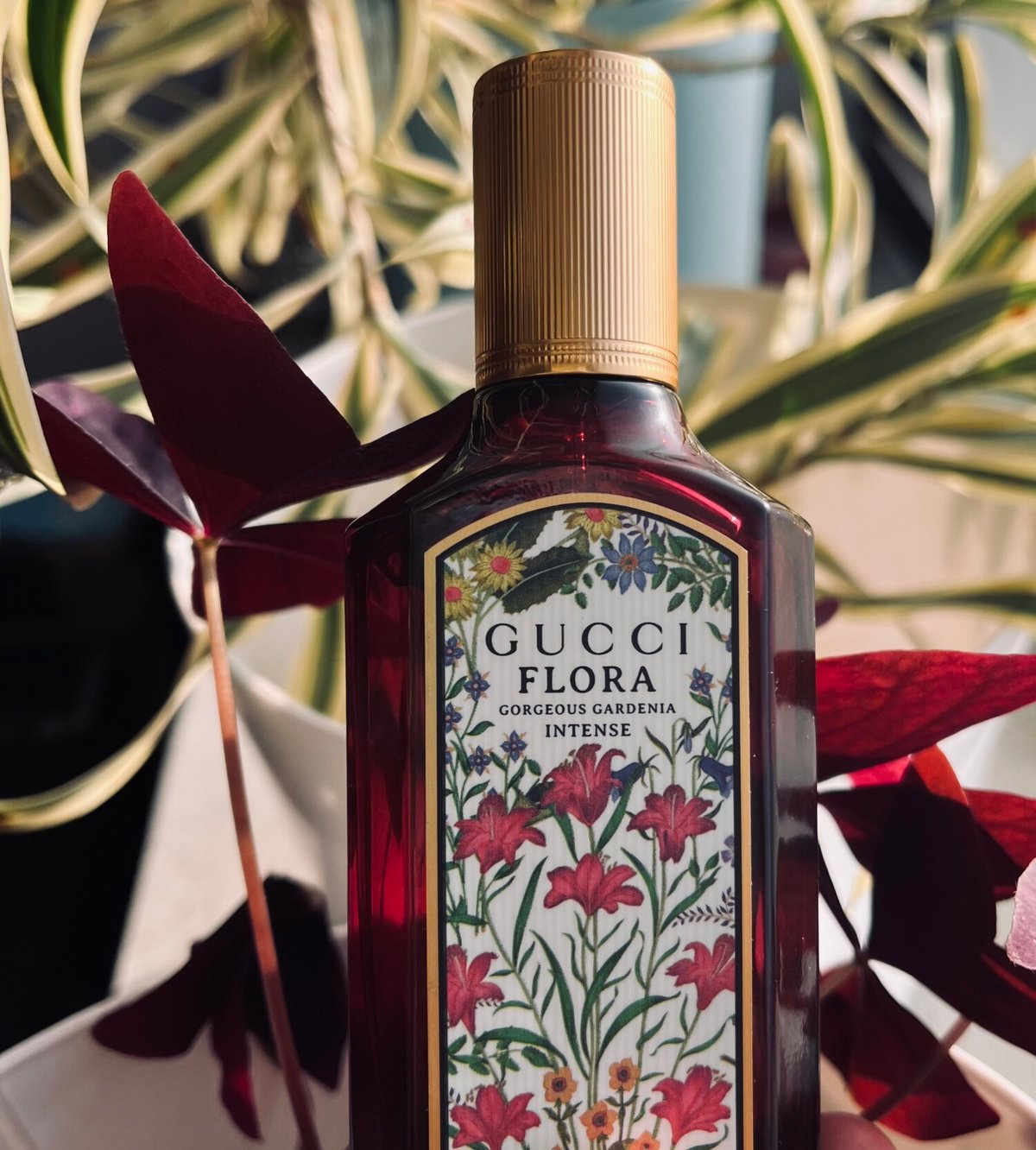 Gucci Gardénia Absolute Review: A Floral Masterpiece - Product Image