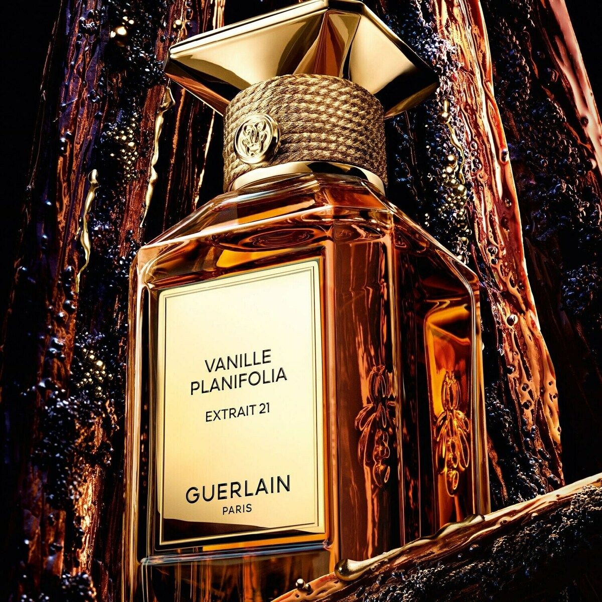 Guerlain Vanilla Planifolia Extract 21 Review: A Masterpiece - Product Image
