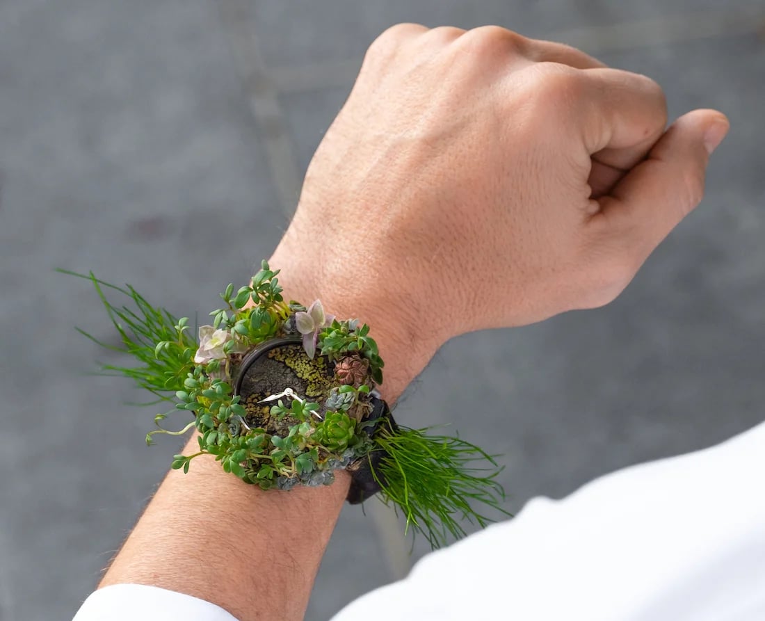 H. Moser & Cie Nature Watch 8327-1200: A Living Icon - Product Image