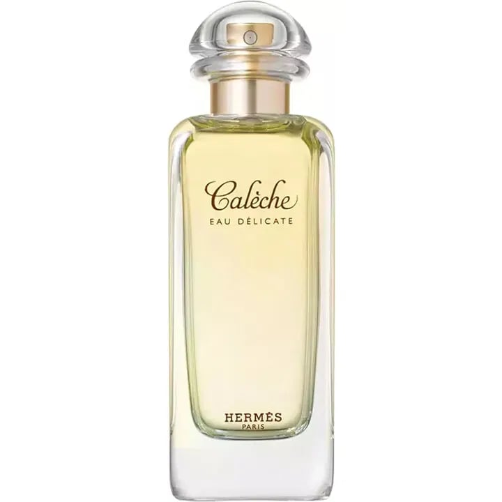 The Secret Whispers of Hermès: Why Calèche Eau Délicate is the Ultimate Insider Scent - Product Image