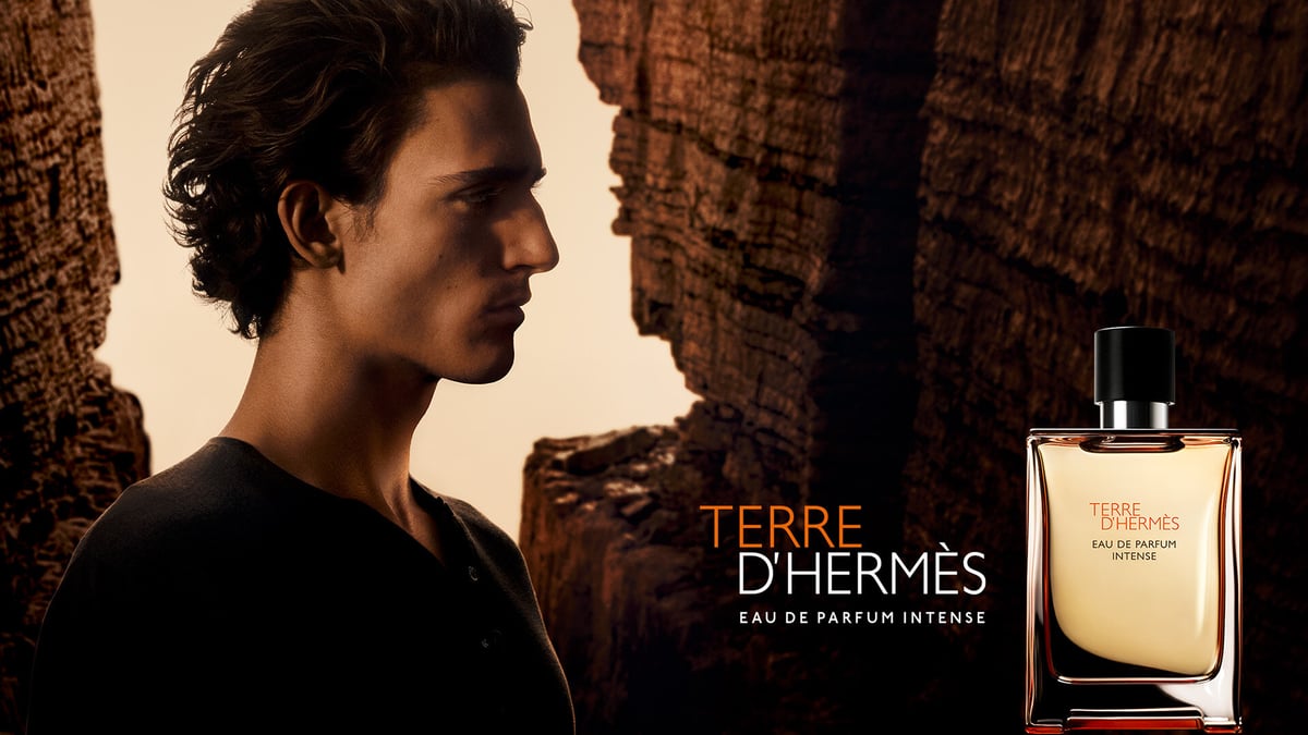 Hermès Terre d'Hermès Parfum Review: The Ultimate Woody-Spicy Statement - Product Image