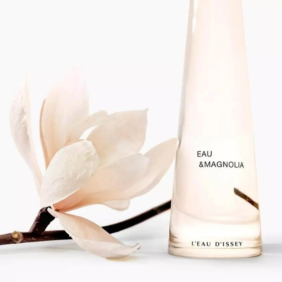 Issey Miyake L'Eau d'Issey Eau Magnolia Intense EDT Review - Product Image