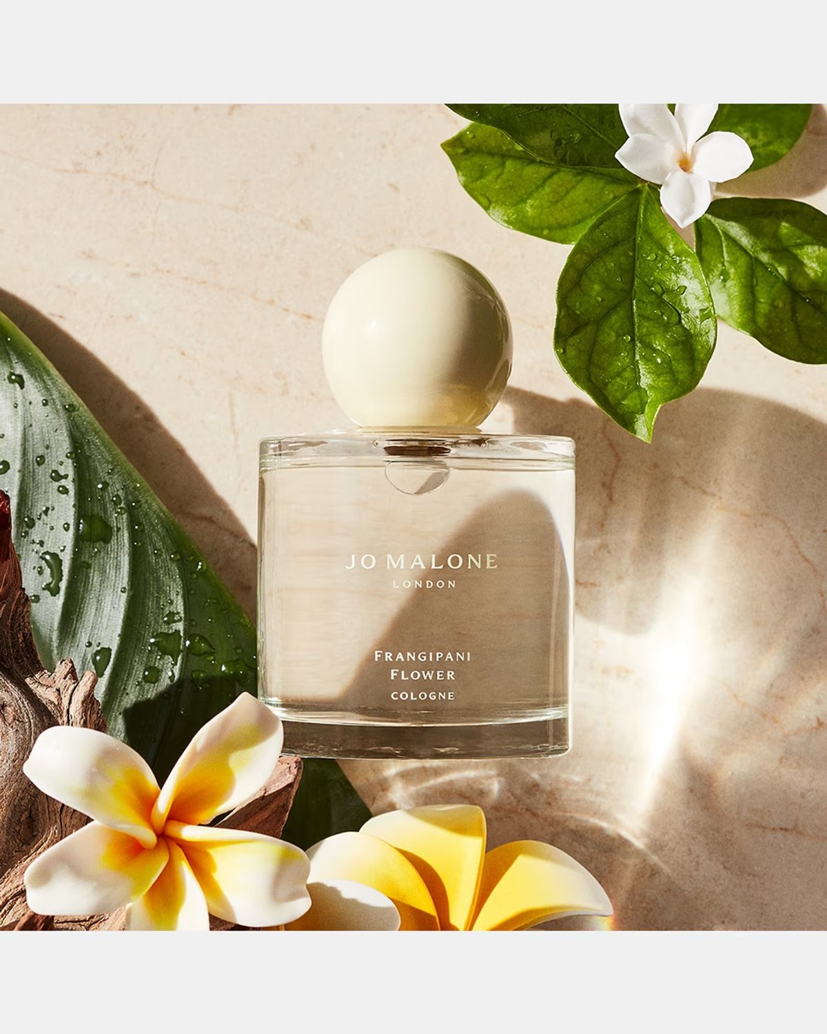 Jo Malone Frangipani Flower 2026: A Sunlit Floral Review - Product Image