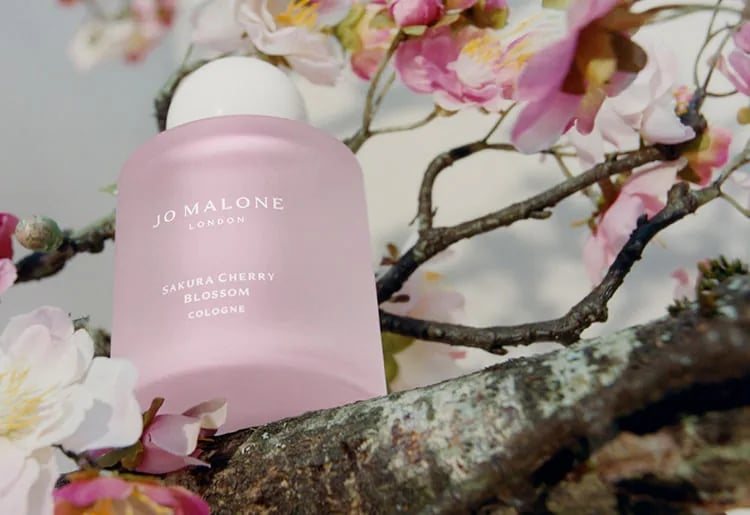 Jo Malone London Sakura Cherry Blossom Review – A Fleeting Spring Dream - Product Image