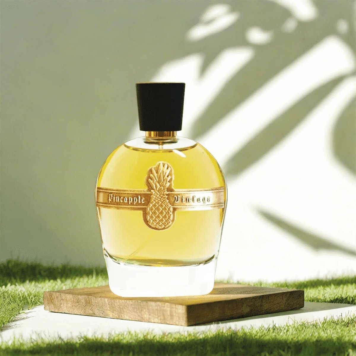 KDJ Inspired Pineapple Vintage: A Tropical Twist on a Classic - Product Image