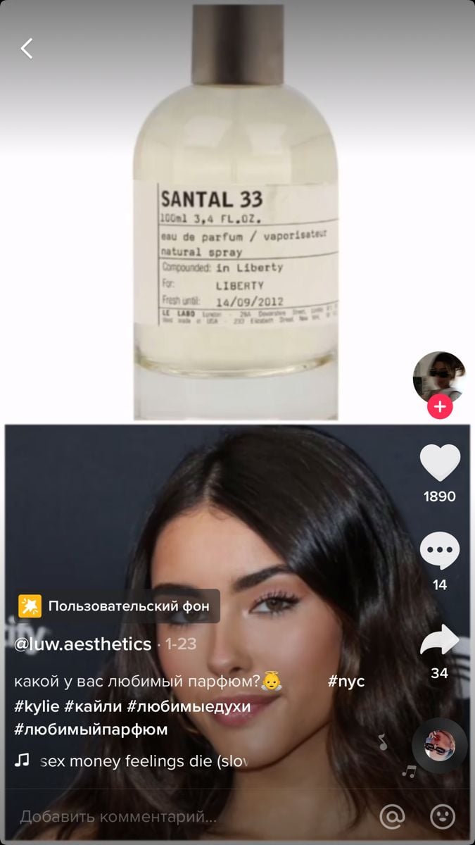 A Scholarly Critique of Kylie Cosmetics Santal: Modernity Meets Amber - Product Image