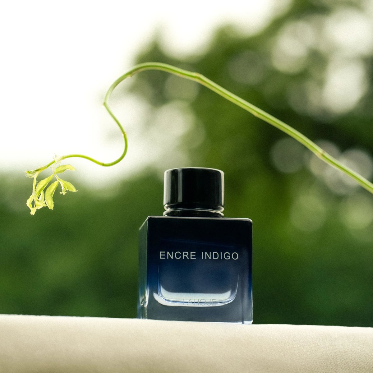 Lalique Encre Indigo Review: A Modern Vetiver for Men - Product Image