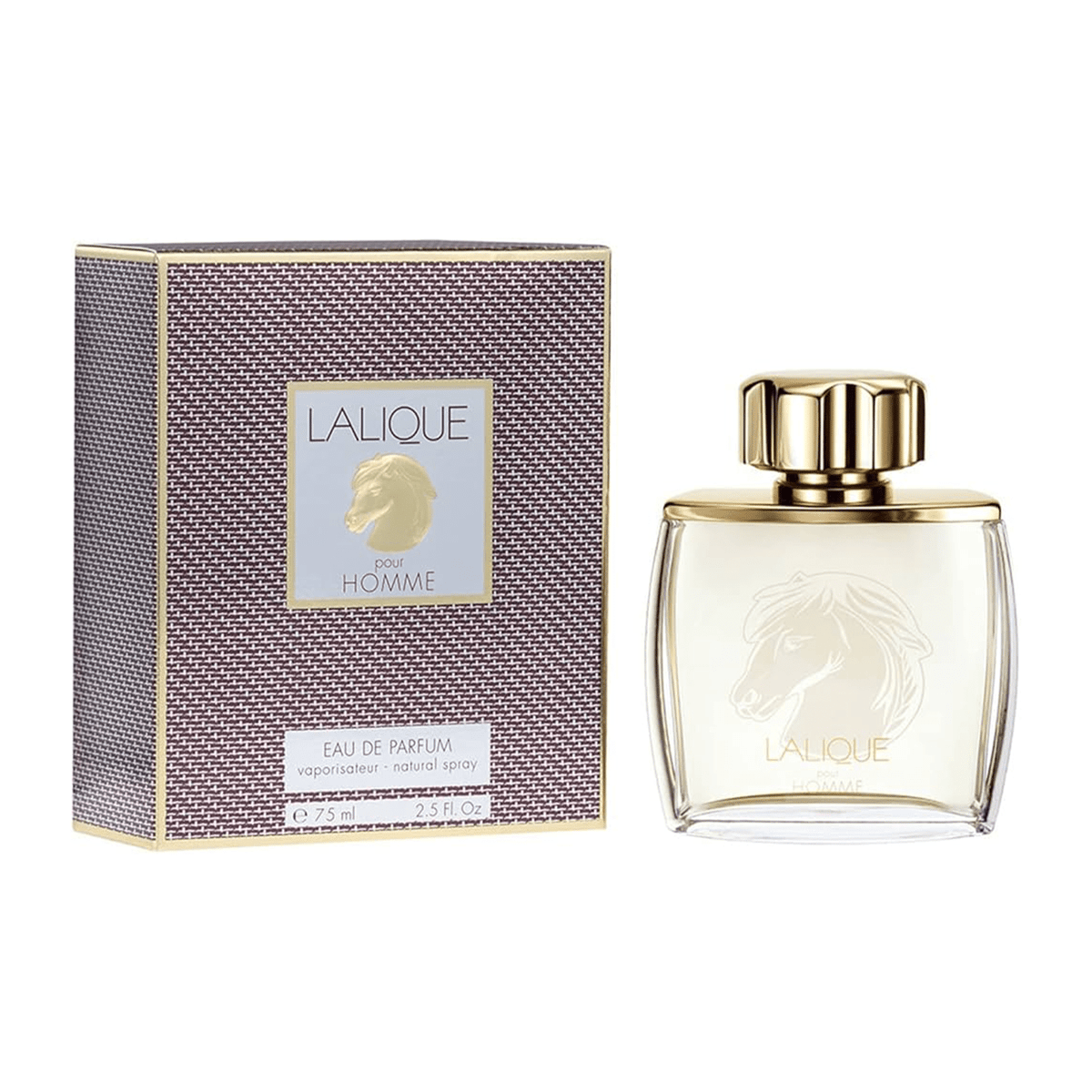 Lalique Pour Homme Equus Review: A Woody Aromatic Classic - Product Image