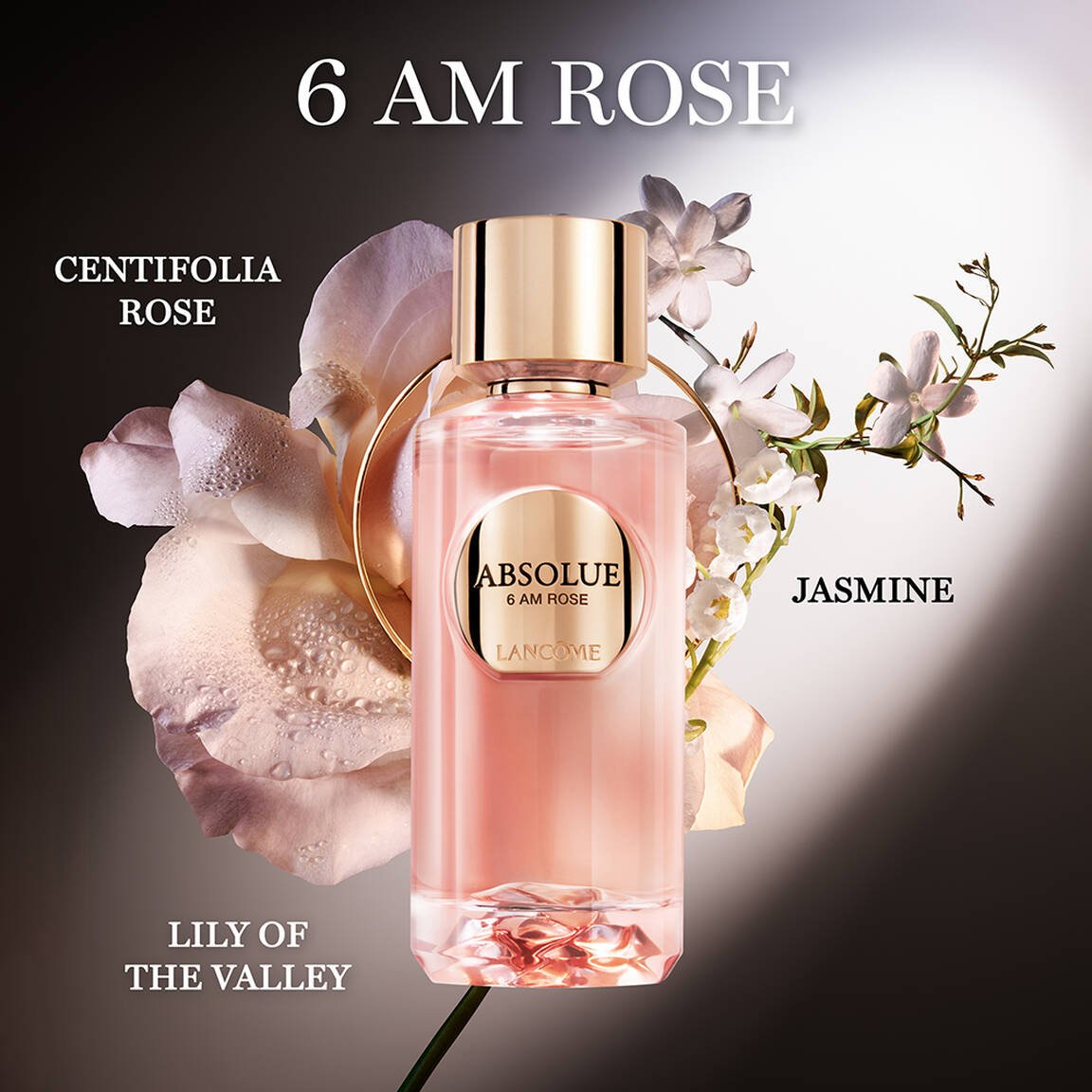 Lancôme Absolue 6AM Rose: A Radiant Halo of Dawn - Product Image