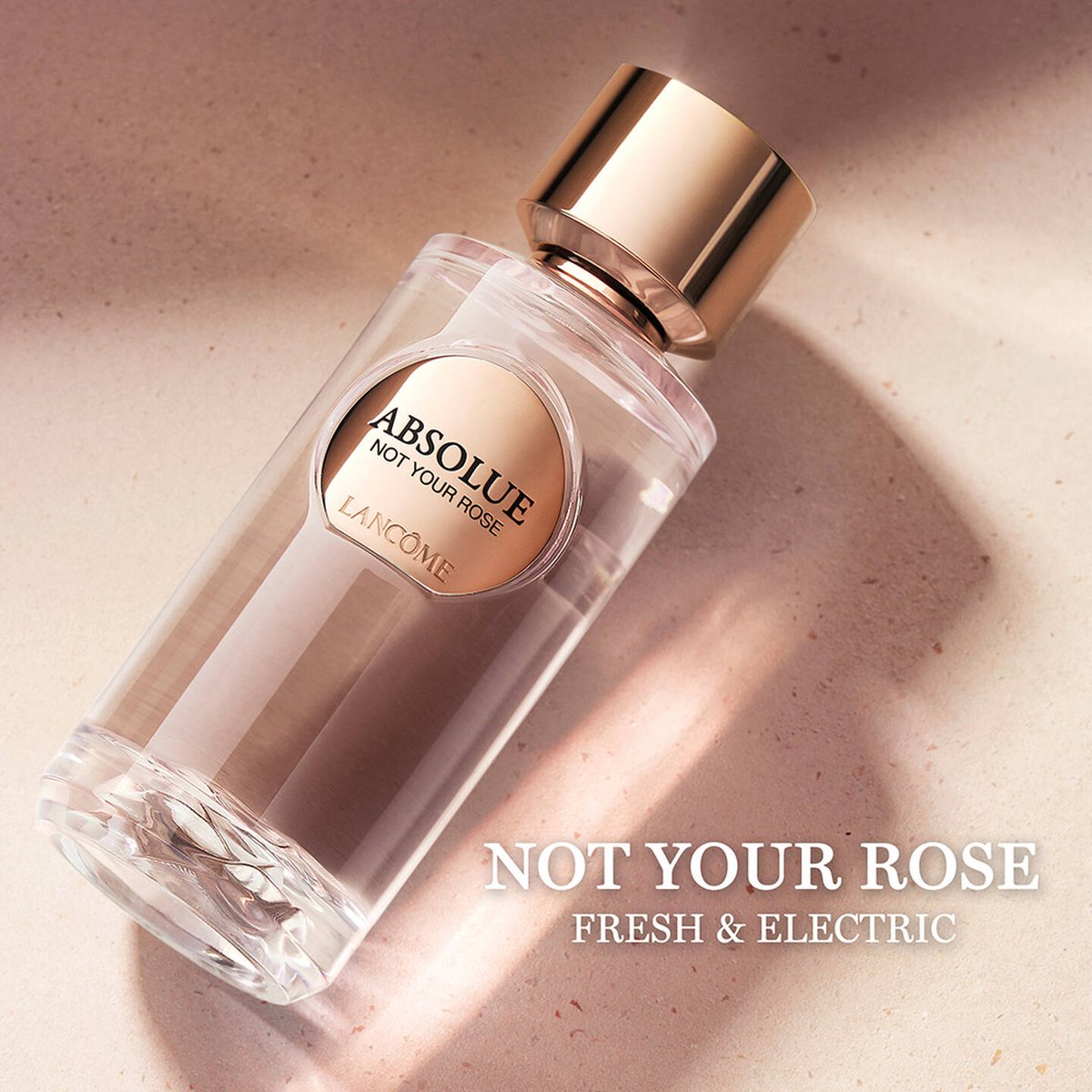 Lancôme Absolue Not Your Rose Review: A Marine Rose - Product Image