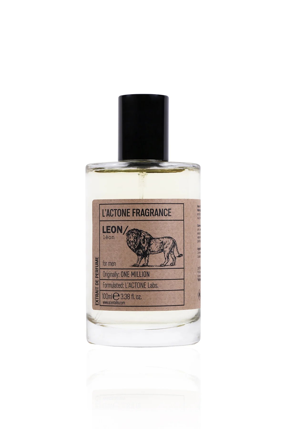 V Canto Leon Review: A Scholarly Olfactory Analysis - Product Image