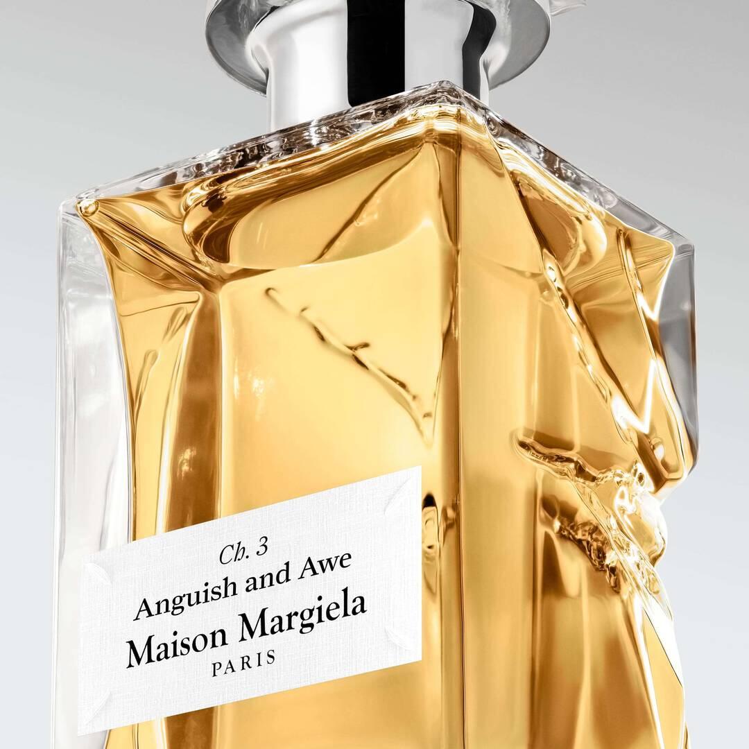 Maison Martin Margiela Anguish Awe: Rose Leather Review - Product Image
