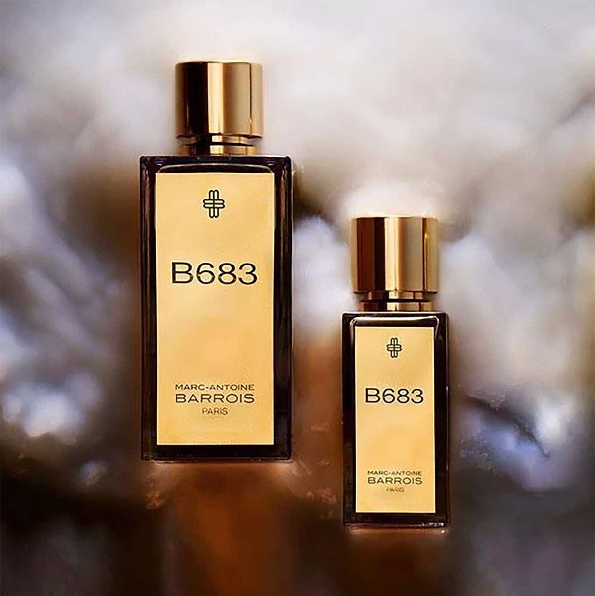 Marc-Antoine Barrois B683: A Journey Through Cosmic Leather - Product Image