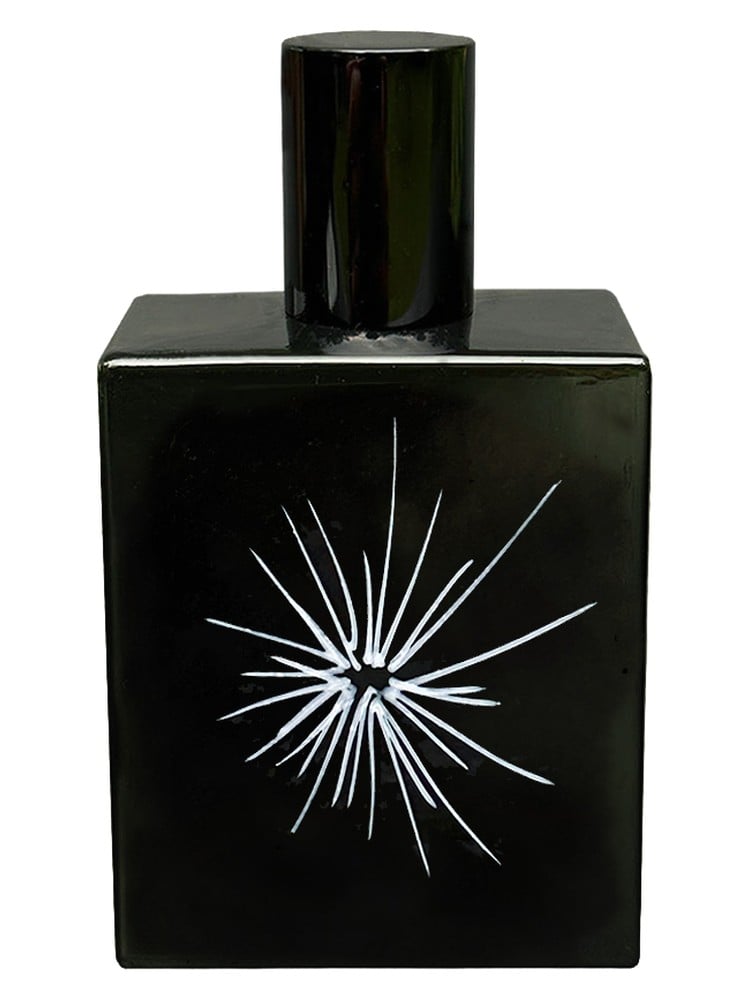 Review: Marc-Antoine Barrois B87135 X-ray by Quentin Bisch - Product Image