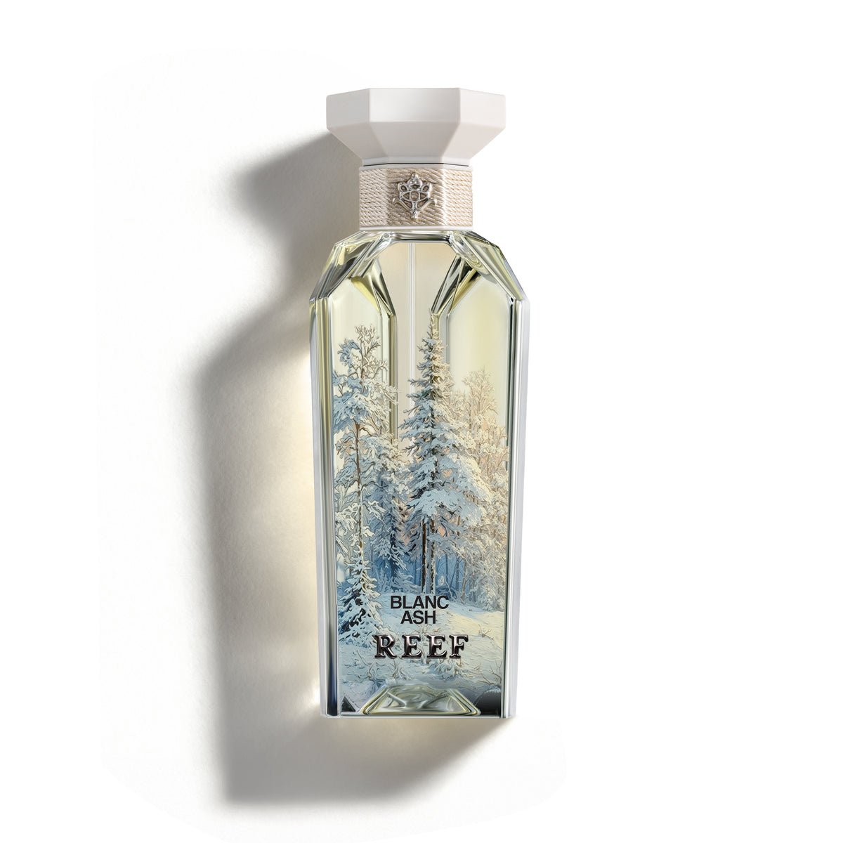 Michael Malul Rashi Reef Review: A Tropical Marine Masterpiece - Product Image