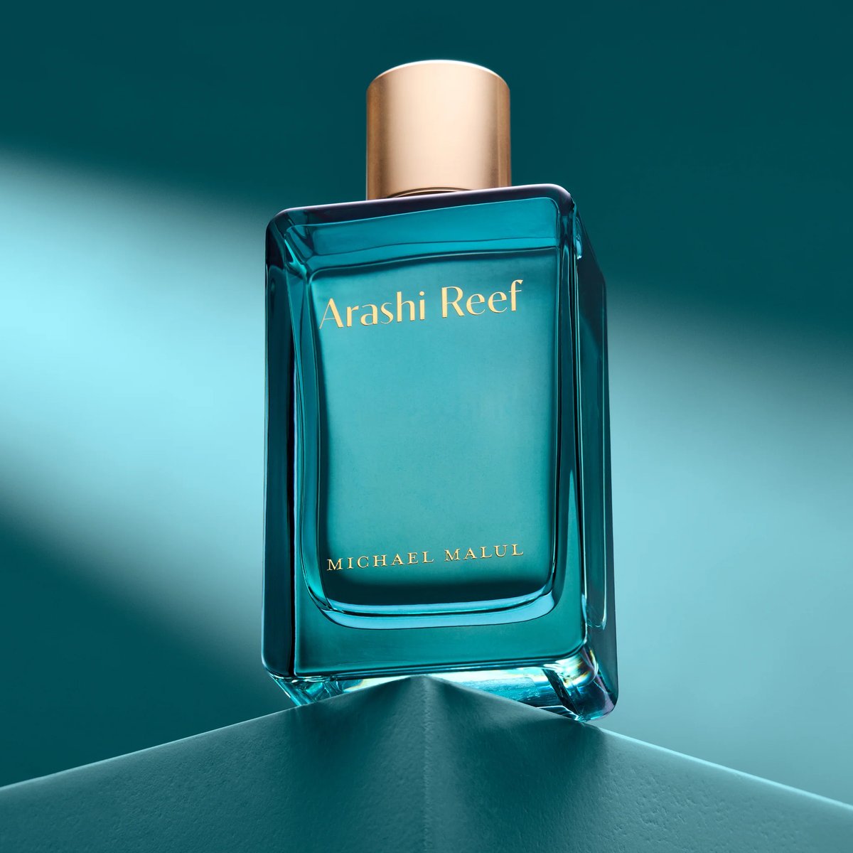 Michael Malul Arossi Reef Review: A Tropical Oasis - Product Image
