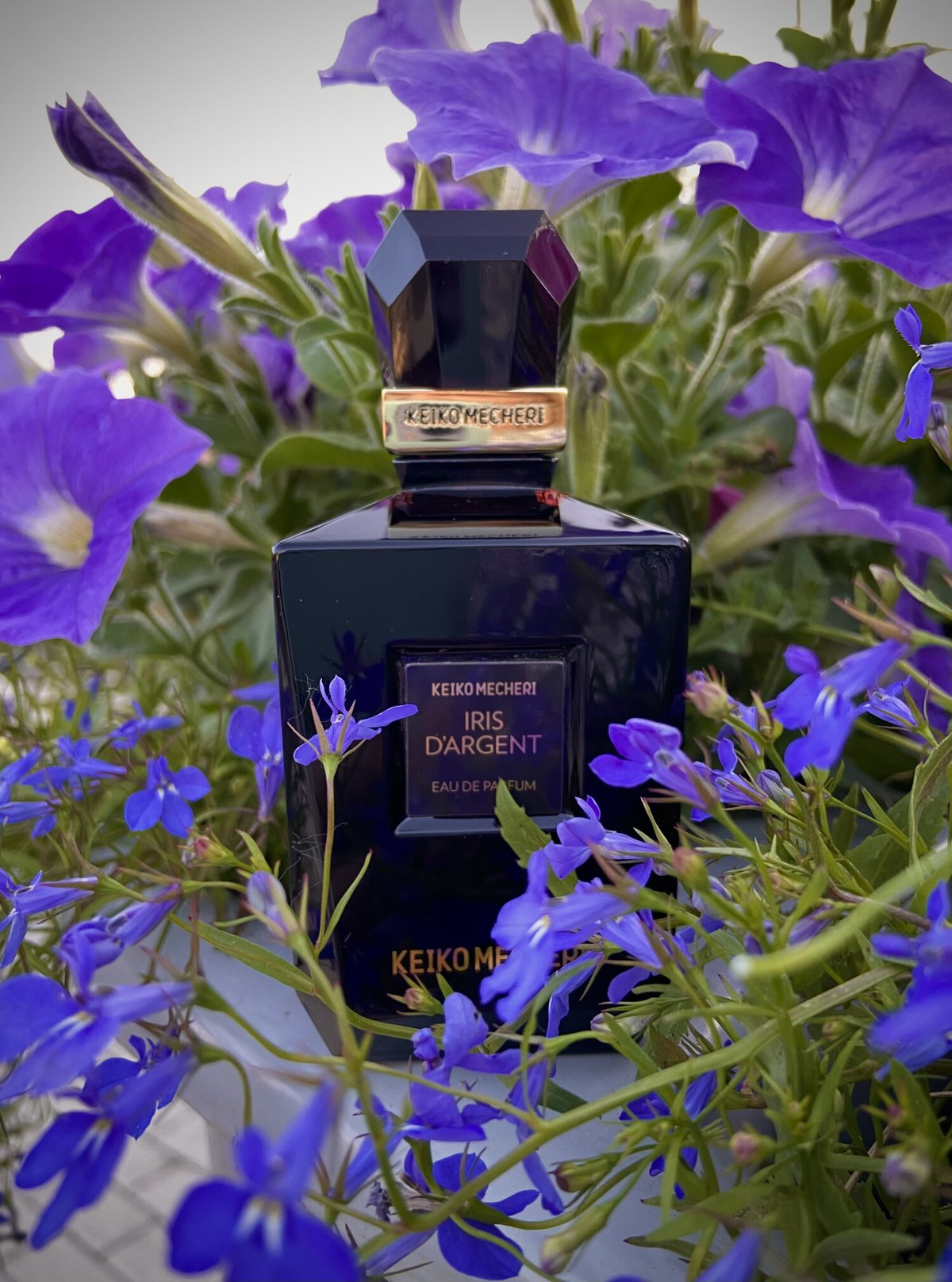 Montagne Parfums Iris D'Argent Review - Woody Iris Elegance - Product Image
