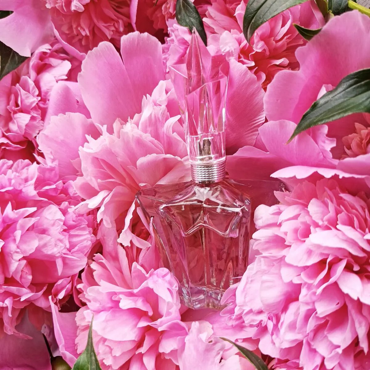 Mugler Angel Garden Of Stars Pivoine Angel Review - Product Image