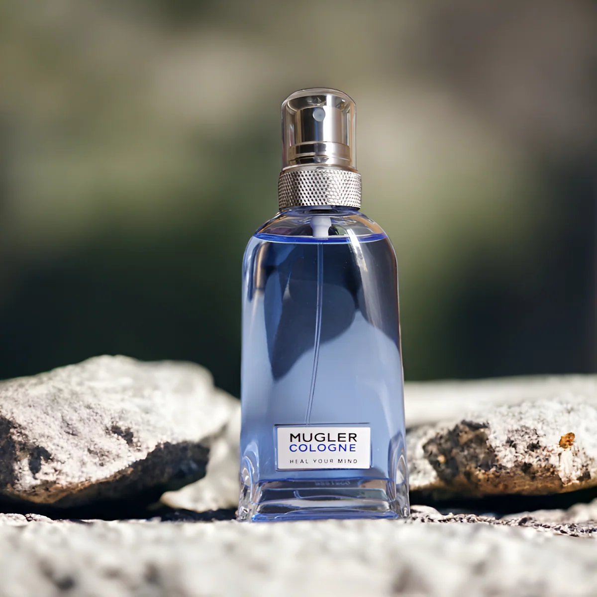 Mugler Cologne Addict Review: Timeless Citrus Elegance - Product Image