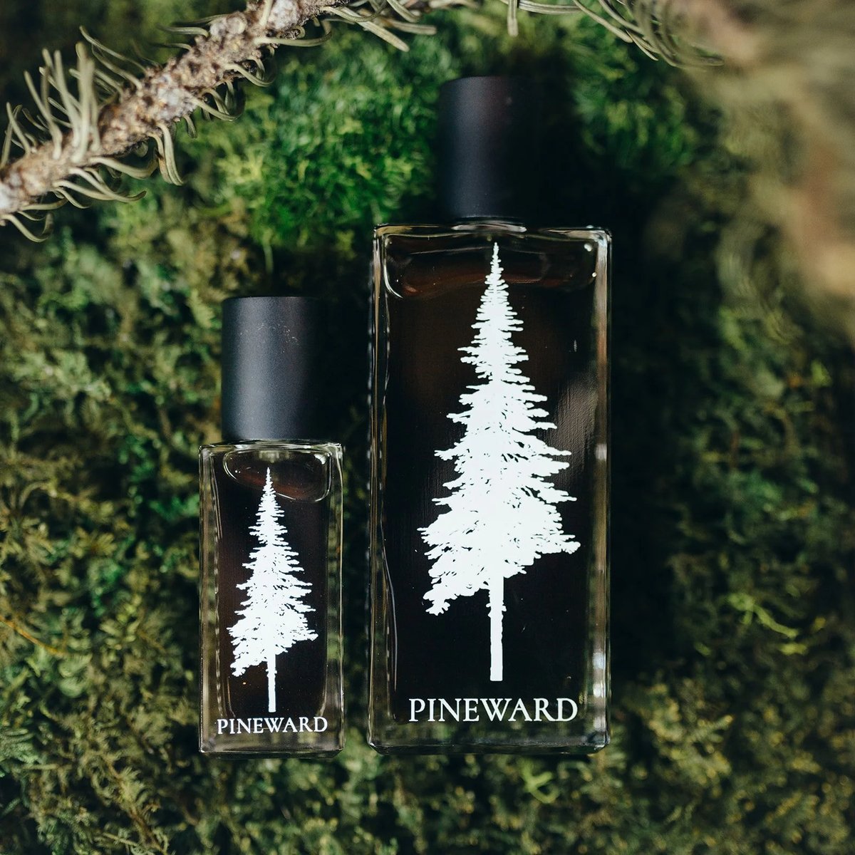 Pineward Perfumes Boreal Review: A Coniferous Masterpiece - Product Image