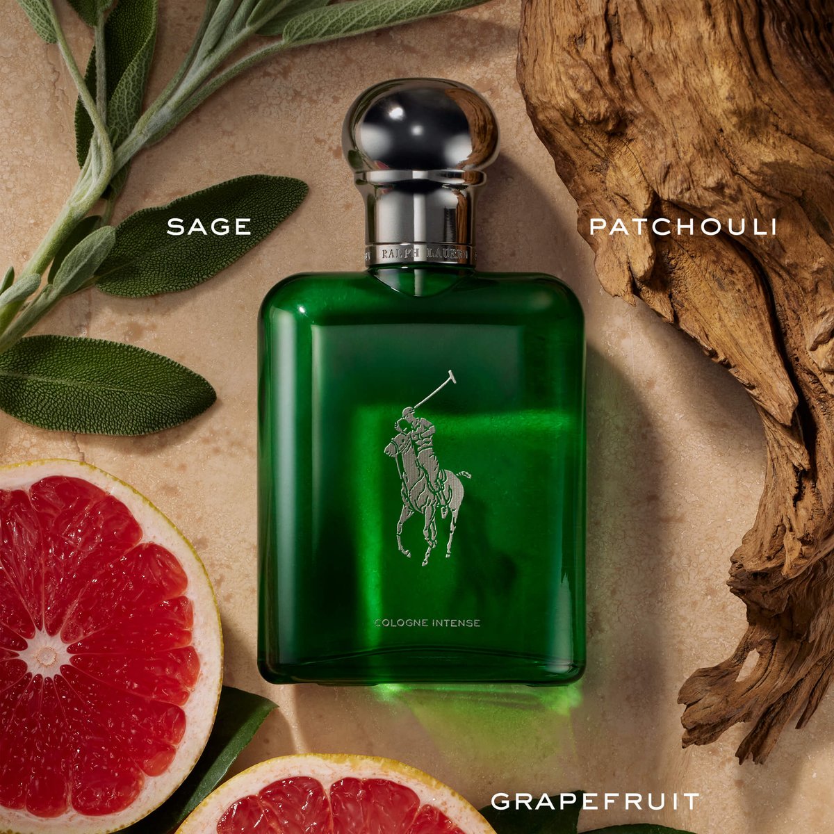 Ralph Lauren Polo Intense: Aromatic Freshness Redefined - Product Image
