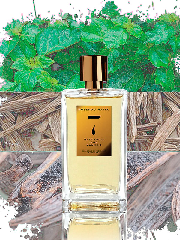 Rosendo Mateu No. 10 Review: A Gentle Amber Musk for Modern Skin - Product Image