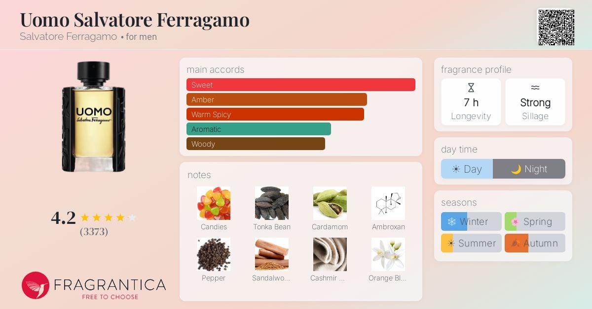 Ferragamo Uomo Casual Life: A Scholarly Olfactory Analysis - Product Image