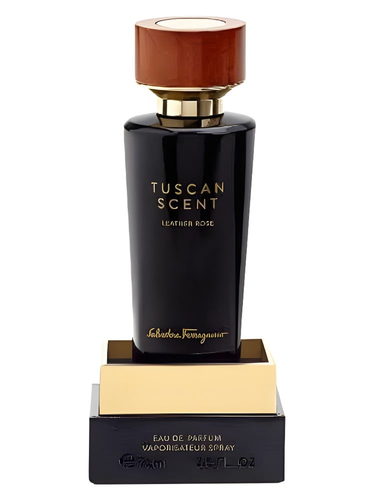 Salvatore Ferragamo Leather Rose Absolu: A Velvet Embrace of Thorn and Hide - Product Image