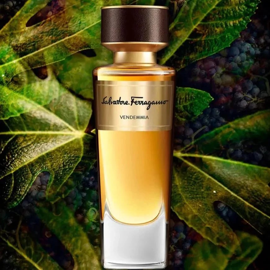 Salvatore Ferragamo Vendemmia 2015: A Lush Harvest in Scent - Product Image