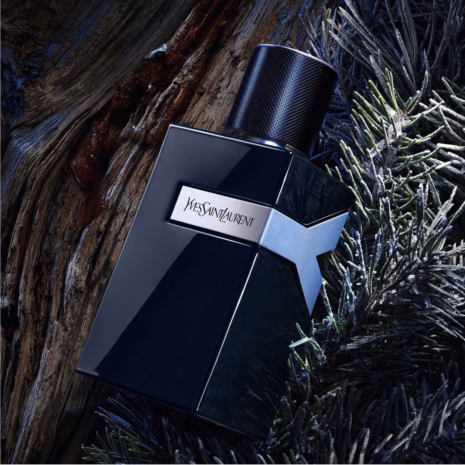 YSL Y Le Parfum Review: A Darker Evolution of Modern Fougere - Product Image