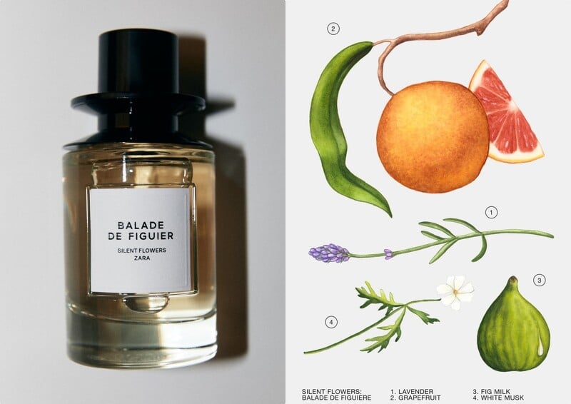 Zara Balade de Figuier Review: A Fig Leaf Journey - Product Image