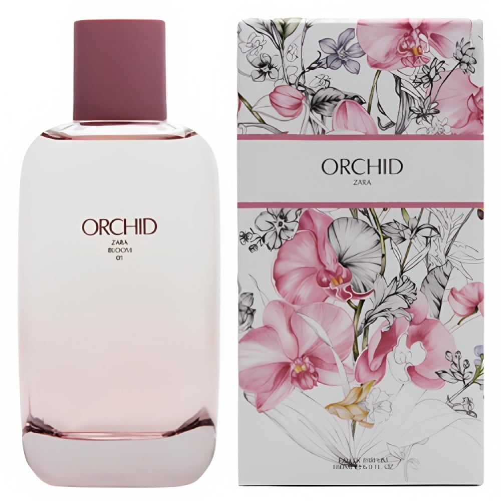 Zara Orchid Review: Budget-Friendly Floral Vanilla - Product Image