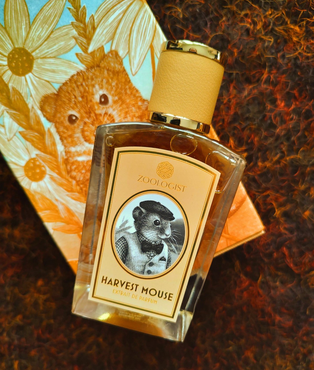 Zoologist Harvest Mouse Review: Cozy Amber Vanilla - Product Image