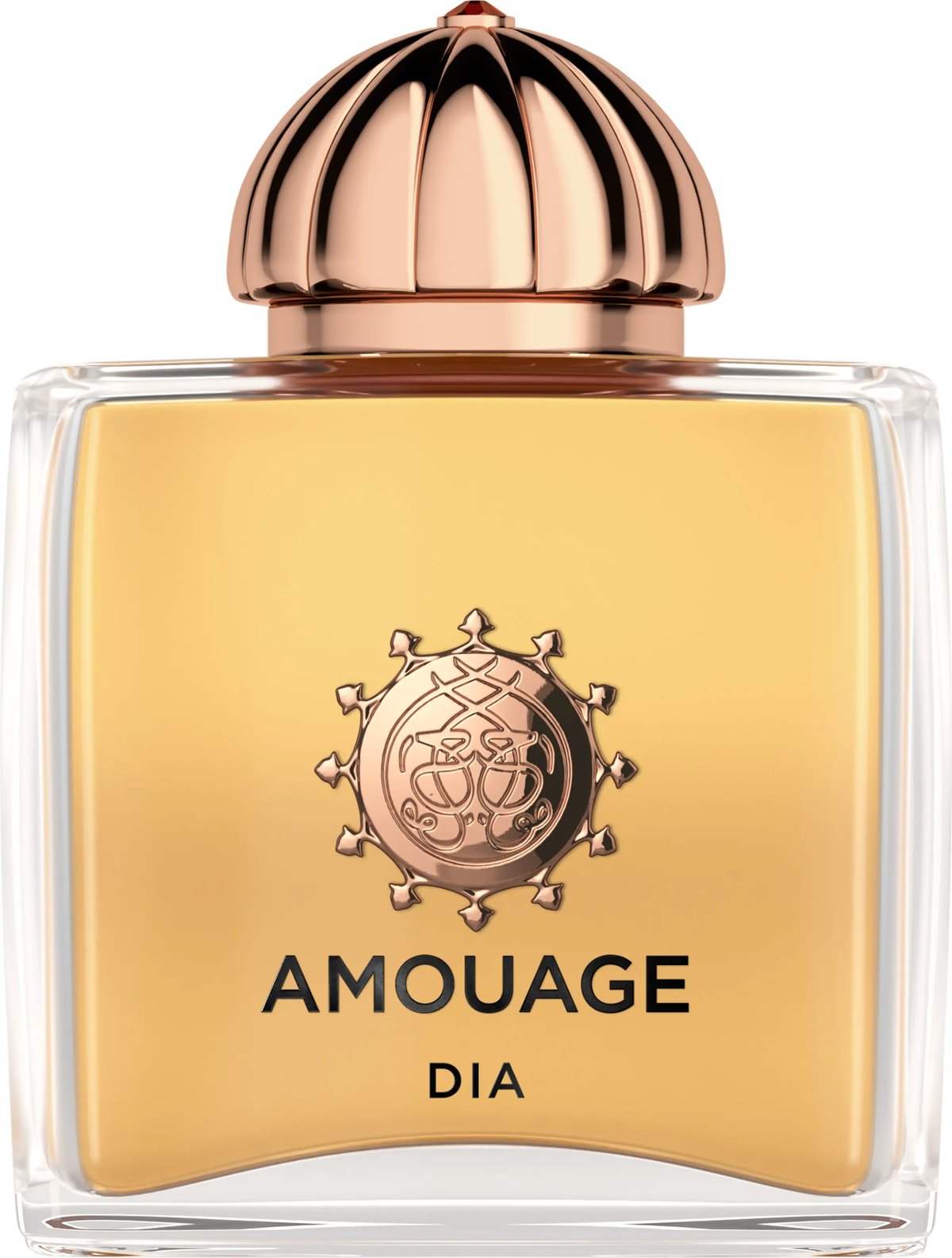Amouage Dia Woman Review: The Day's Opulence, Decoded - Product Image