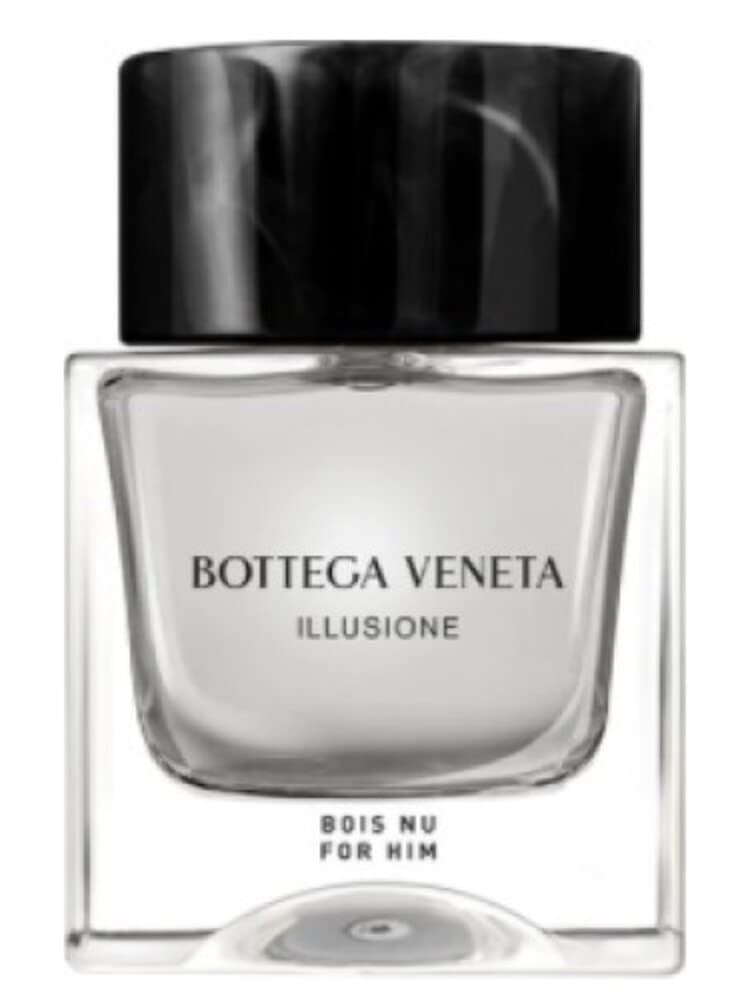 Bottega Veneta Illusione Bois Nu: An Ode to Understated Italian Elegance - Product Image