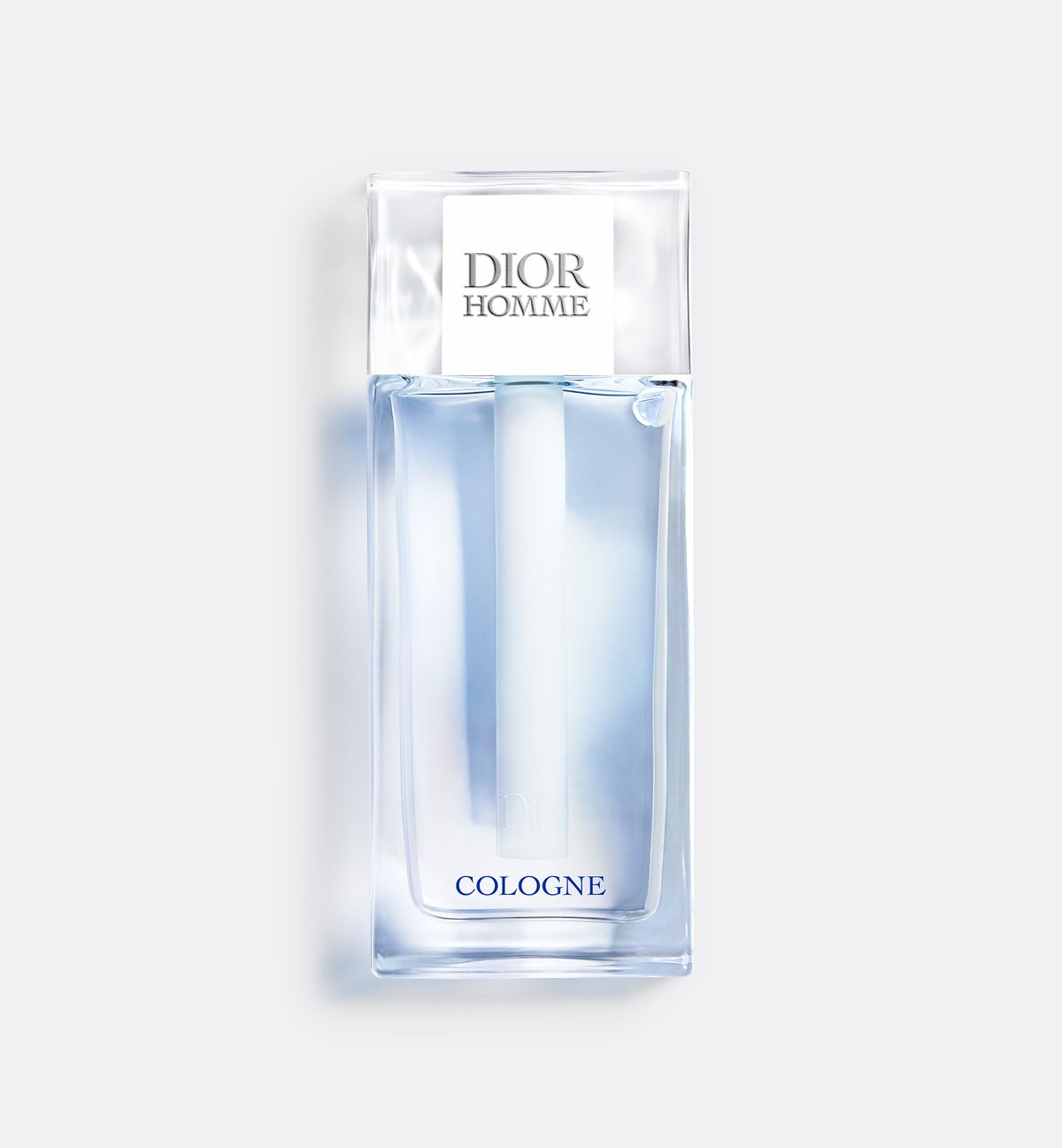 The Apotheosis of Simplicity: A Scholarly Review of Dior Homme Cologne 2022 - Product Image
