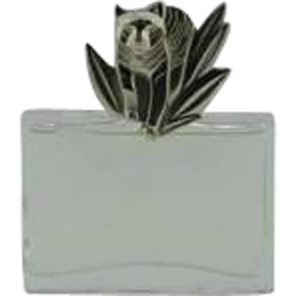 Kenzo Jungle Le Tigre Review: Unleash Your Wild Side with This Olfactory Safari - Product Image